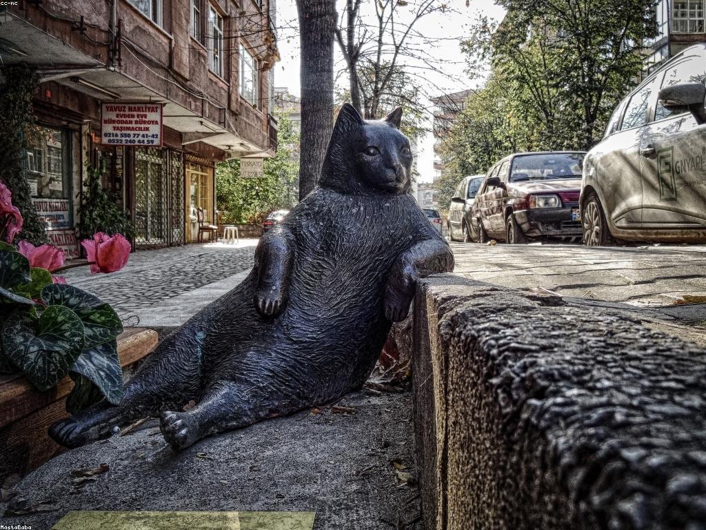 មុខងារថ្មីៗនៃហ្គេម Slot ត្រី