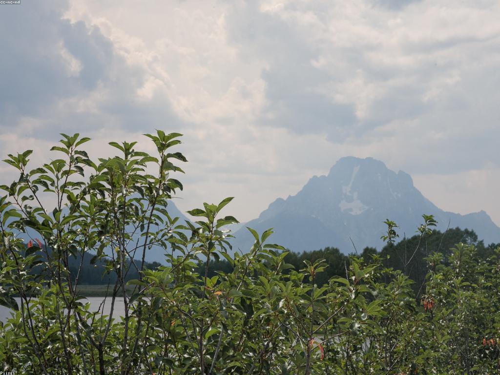 យុទ្ធសាស្ត្រសម្រាប់ការប្រកួតGame Slot ត្រីដែលមានប្រសិទ្ធភាព